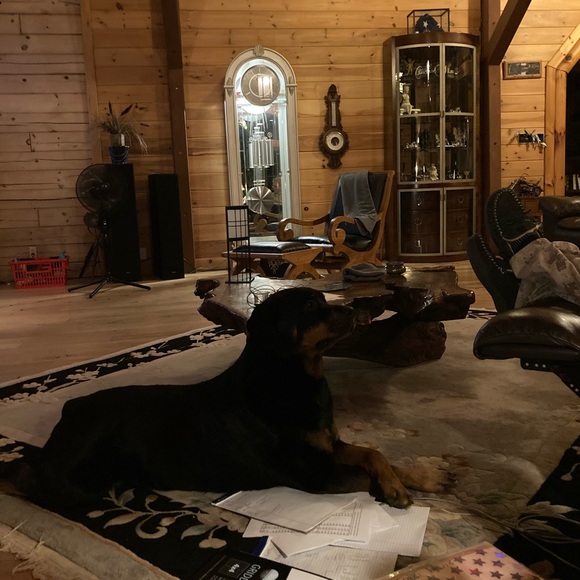 Meet your Posher, Katherine - Picture 10 of 14